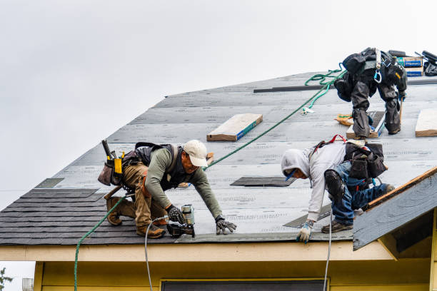 Professional Roof Replacement technician working in Fall River, WI